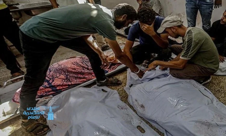 استشهاد 29 فلسطينيا في قطاع غزة منذ صباح اليوم في تصعيد عسكري جديد