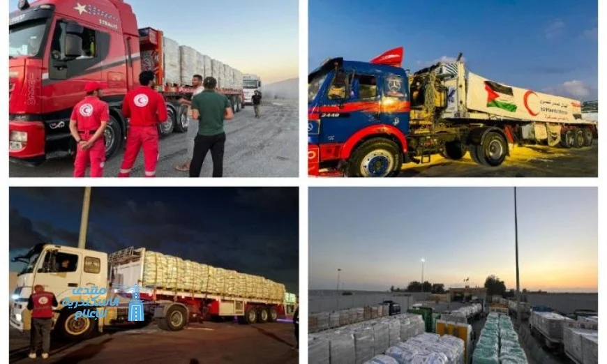 الهلال الأحمر المصري يرسل 1600 طن من المساعدات العاجلة إلى غزة عبر قافلة زاد العزة الـ48