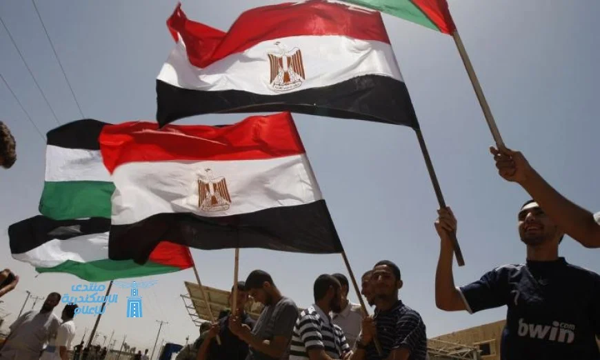 الأعلام المصرية ترحب بعودة النازحين الفلسطينيين إلى ديارهم