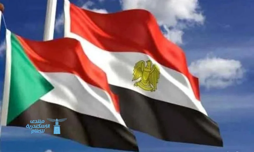 عضو مجلس السيادة يثني على دعم مصر المستمر للسودان
