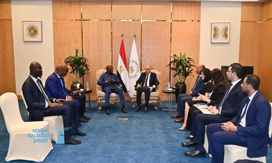 السنغال شريك استراتيجي لمصر في تطوير الموارد المائية