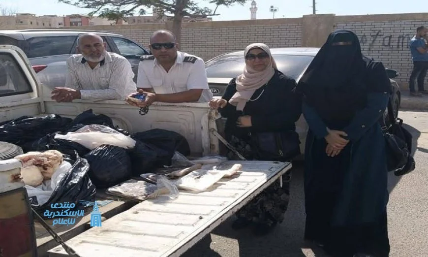 ضبط لحوم مفرومة ودواجن فاسدة في المنوفية تكشف عن خطر صحي للمستهلكين