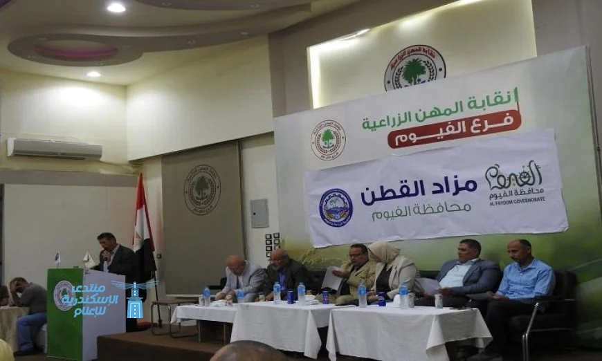 مديرية الزراعة بالفيوم تنظم المزاد الثالث لبيع القطن وتحقيق أعلى العوائد