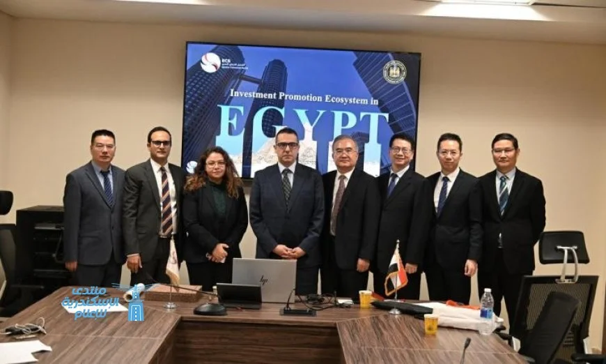 استقبال وفد مجلس مقاطعة جيانجسو من قبل التمثيل التجاري المصري لتعزيز التعاون الاقتصادي