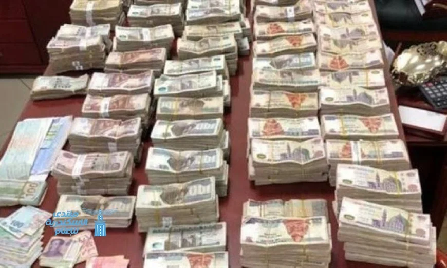 شرطة مكافحة المخدرات تضبط عنصرين جنائيين وراء غسيل 50 مليون جنيه من أرباح تجارة المخدرات