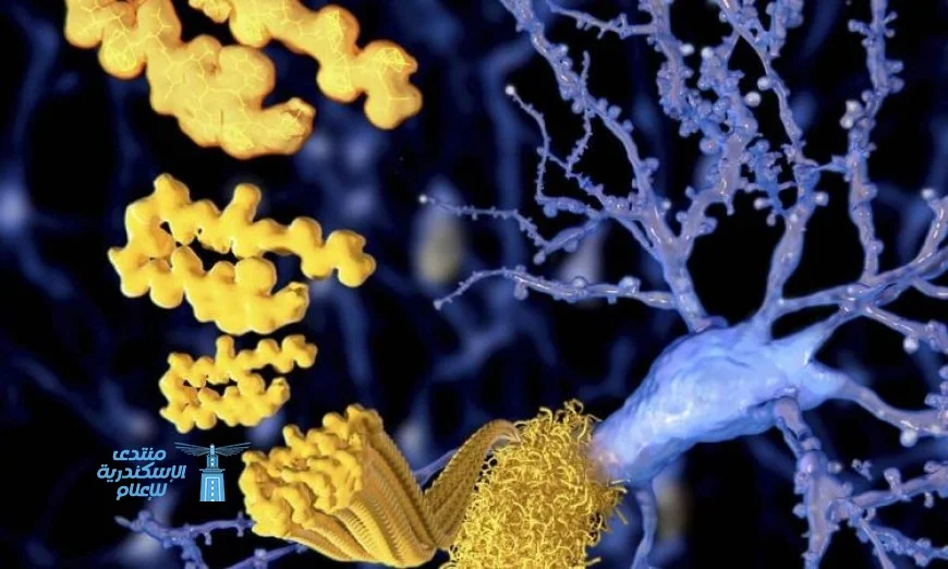 بروتين مميت يرتبط بألزهايمر يمكن أن يكون الحل السري لمكافحة السرطان