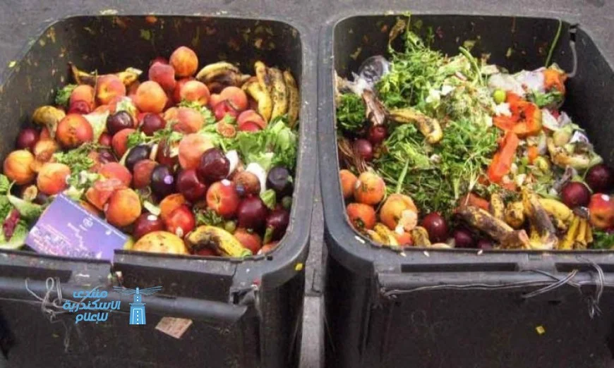 اكتشاف علماء كنز مدفون في نفايات الطعام يغير مفاهيم إعادة التدوير