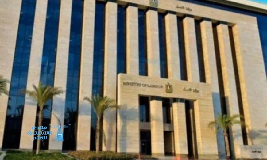 وزارة العمل تعلن عن 134 فرصة عمل جديدة في شركة مودرن هايچنك إنترناشونال بالعــين السخنة