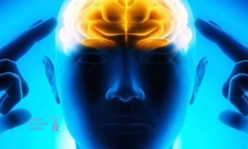 باحثون يكشفون أسرار الحاسة السادسة لدى الإنسان ووظائفها المذهلة