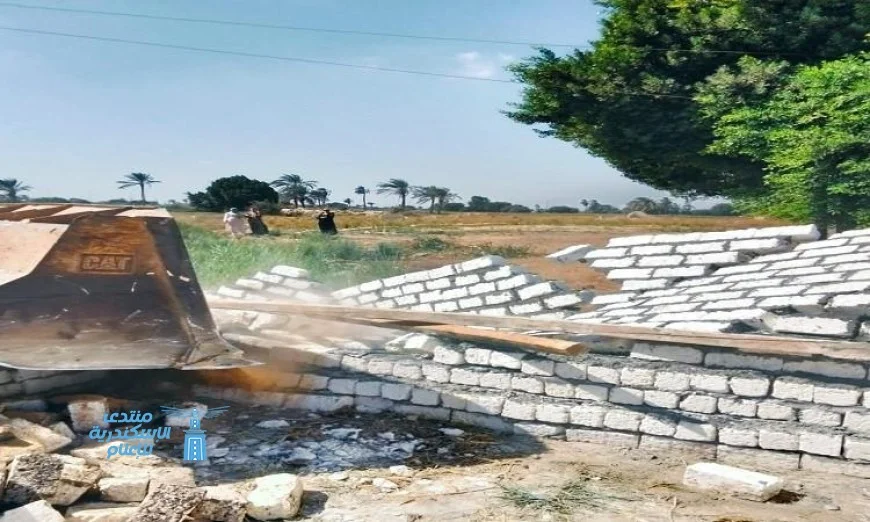 إزالة 393 حالة اعتداء على الأراضي الزراعية وأملاك الدولة في المنيا لتعزيز الأمن الزراعي