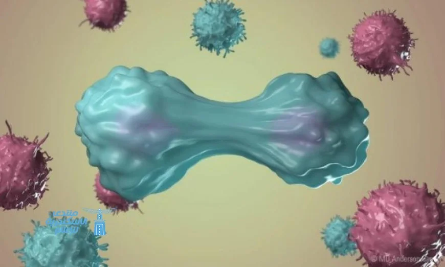 العلماء يكشفون عن المفتاح الثوري الذي يساعد الجسم في محاربة السرطان