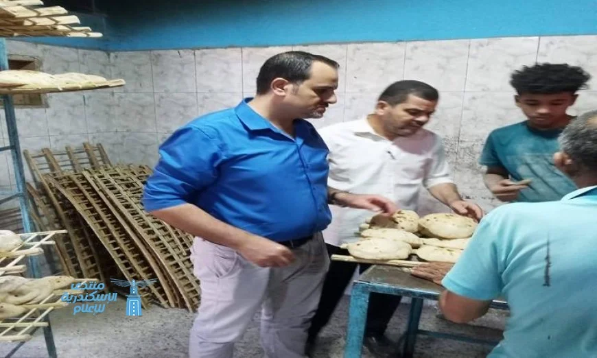 تموين المنيا تواصل جهودها الحثيثة وتضبط 233 مخالفة تموينية مختلفة