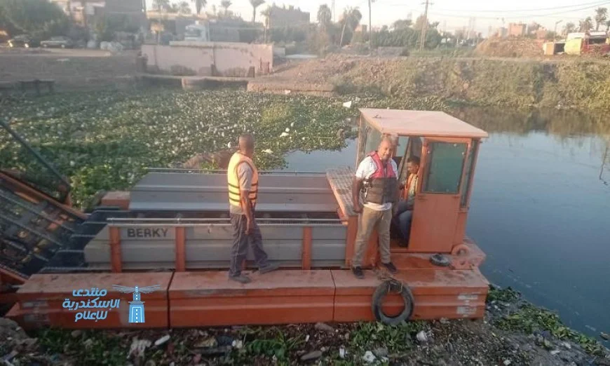 أسيوط تطلق منظومة جديدة لتحويل ورد النيل إلى أعلاف باستخدام المعدة المائية الألمانية