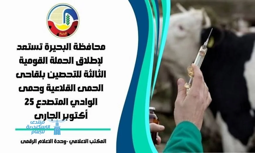 انطلاق الحملة القومية الثالثة لتحصين الماشية في البحيرة يوم السبت القادم