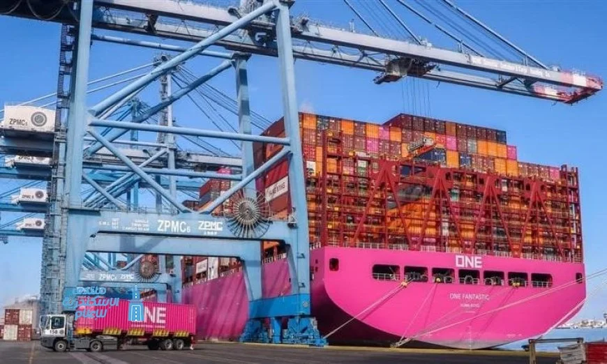 ميناء دمياط يستقبل 34 سفينة في 24 ساعة فقط