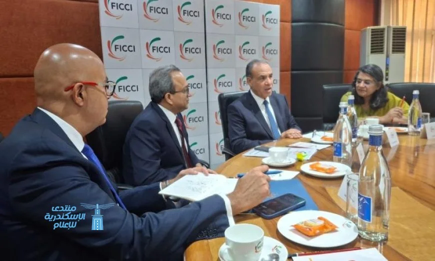 وزير الخارجية يؤكد اهتمام مصر بتحقيق شراكة صناعية قوية مع الشركات الهندية