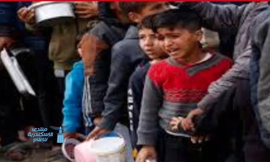 متحدث الصحة العالمية يؤكد ضرورة زيادة دعم المستلزمات الطبية في غزة كأولوية قصوى