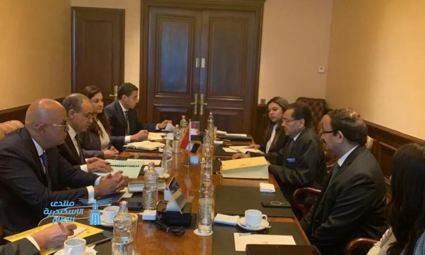 وزير الخارجية يؤكد اهتمام مصر بالتعاون مع الشركات الأجنبية لتعزيز الاستثمارات الأجنبية المتزايدة