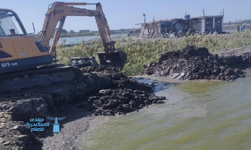 إزالة 25 فدانًا من المزارع السمكية المخالفة في الأراضي الزراعية بجنوب بورسعيد