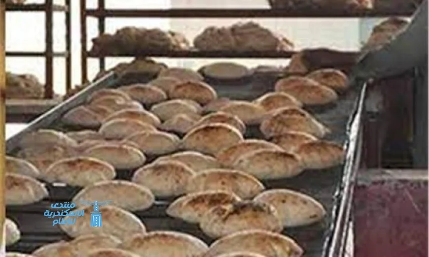 صناعة الحبوب تكشف عن استقرار سعر الخبز وأثره الإيجابي على حياة المواطنين