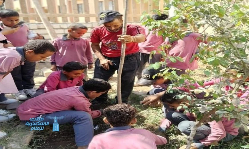 مبادرة مياه المنيا تزرع 2000 شجرة في المدارس تحت شعار صحتهم مستقبلهم