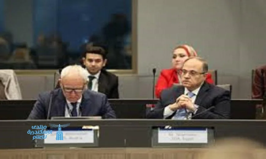 الغمرواي يؤكد أن استضافة مصر للحدث تعكس ثقة منظمة الصحة العالمية في هيئة الدواء المصرية