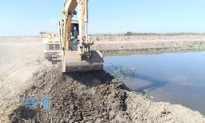 حملة لإزالة 10 مزارع سمكية مخالفة بمساحة 50 فدانًا في جنوب بورسعيد