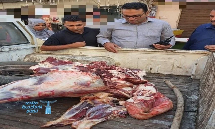 الشرطة تضبط كميات كبيرة من اللحوم المذبوحة خارج المجازر في شبين الكوم والباجور
