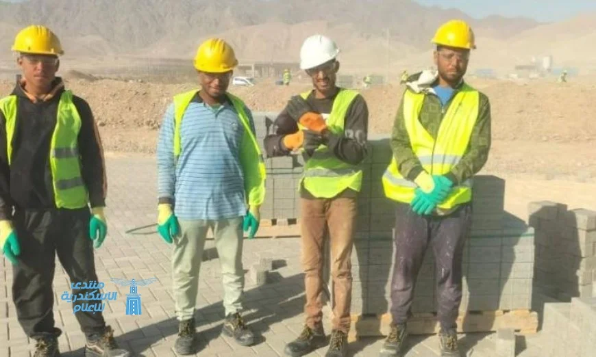 صور وزارة العمل تكشف عن التفتيش على 1730 منشأة في 19 يوما عبر جميع المحافظات