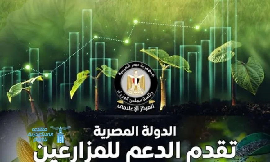 الدولة تستثمر 70 مليار جنيه سنوياً في دعم الأسمدة حسب تقرير المركز الإعلامي لمجلس الوزراء