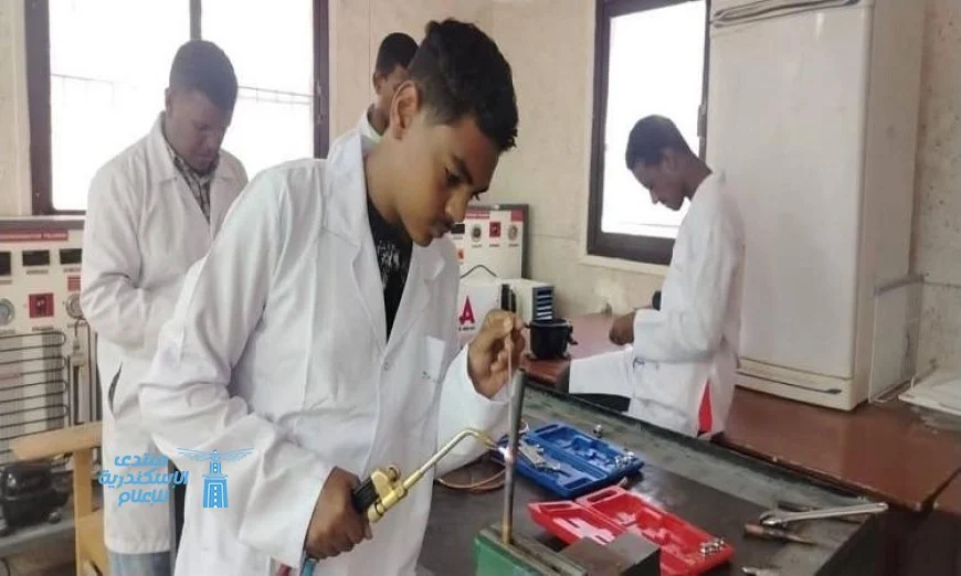 تقديم برامج تدريبية مجانية في أسوان لتأهيل الشباب لسوق العمل