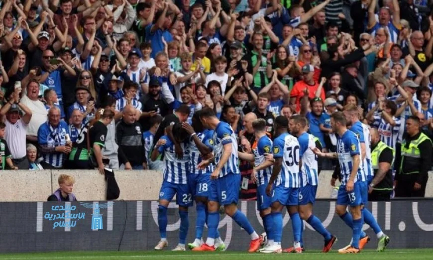 ولبك يتألق ليقود برايتون لفوز مثير على نيوكاسل في الدوري الإنجليزي الممتاز