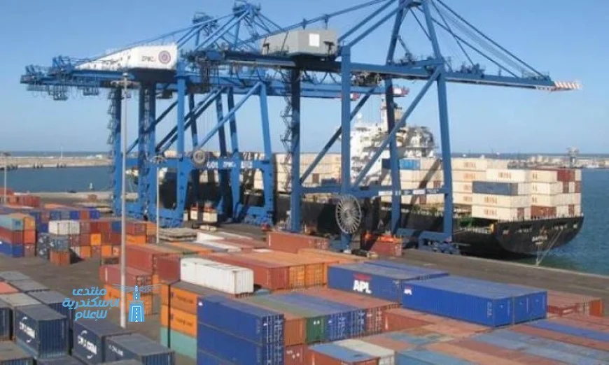 ميناء دمياط يستقبل 29 سفينة شحن حاويات وبضائع عامة