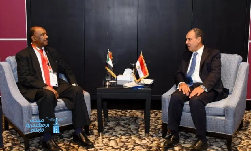 وزير الخارجية يؤكد استمرار جهود مصر لتعزيز الاستقرار في السودان الشقيق