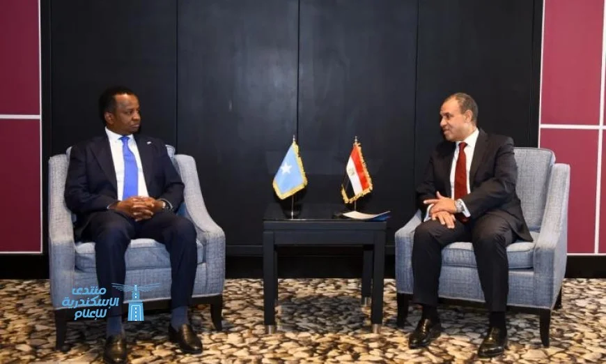وزير الخارجية يناقش مع نظيره الصومالي سبل تعزيز الشراكة الاستراتيجية بين البلدين