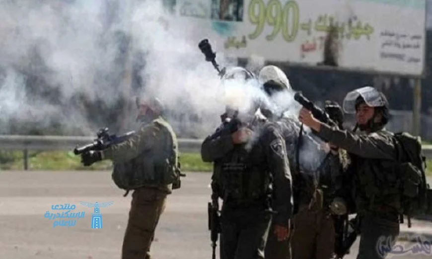 قوات الاحتلال تستخدم قنابل الصوت والغاز في مواجهة فلسطينية غرب الخليل