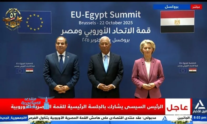 الاتحاد الأوروبي ومصر يعززان بيئة الاستثمار في مصر ويؤكدان على أهمية حل الدولتين