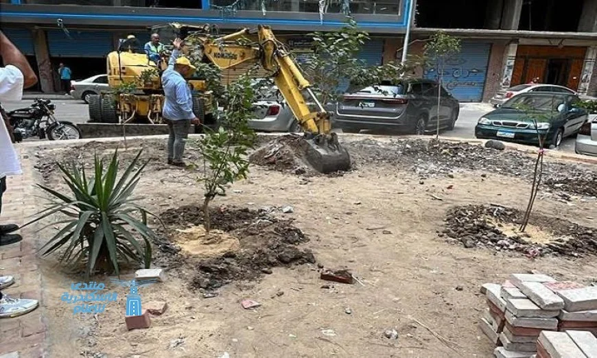 تجميل وتنمية 8 ميادين رئيسية في مدينة دمنهور بالإنارة والتشجير