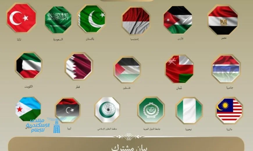 مصر و14 دولة تتضامن ضد تصديق الكنيست على قوانين لفرض السيادة على الضفة الغربية