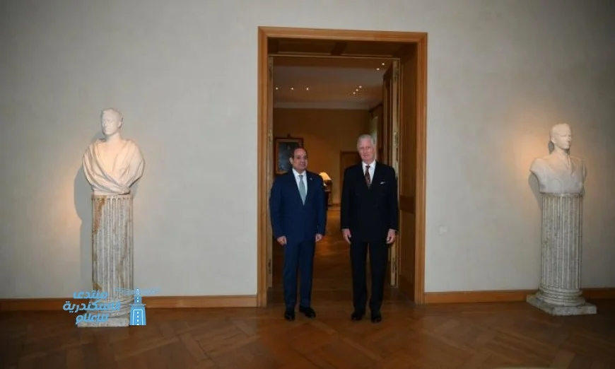 الرئيس السيسي يثني على حفاوة استقبال ملك بلجيكا في بروكسل