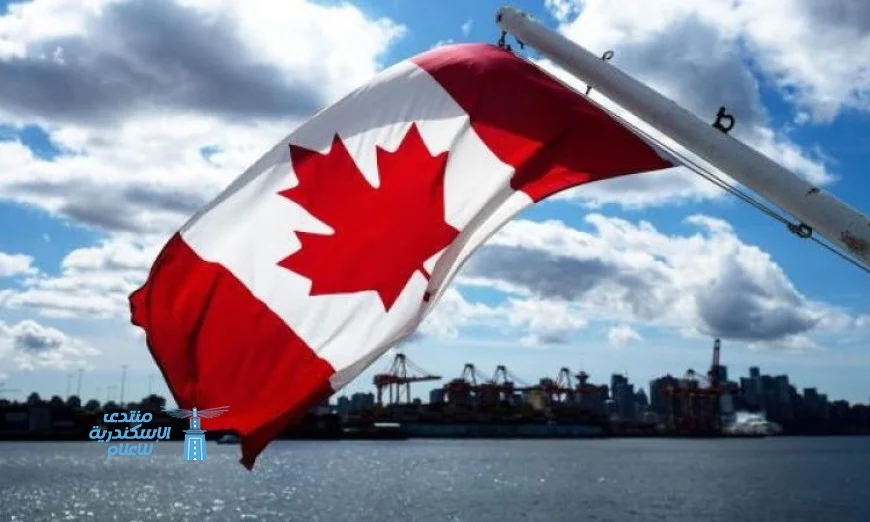 بريتش كولومبيا تواجه ترامب بحملة جديدة في أمريكا ضد رسوم الأخشاب الكندية