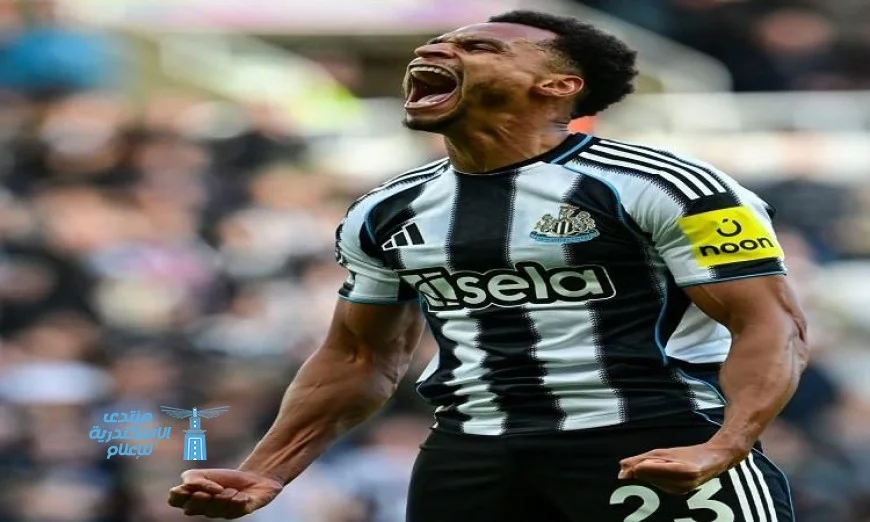 نيوكاسل يحقق انتصاراً مهماً على فولهام في الدوري الإنجليزي الممتاز