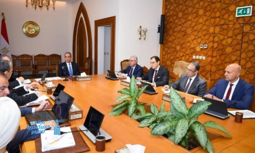 وزير الخارجية يدير استعدادات الوزارة للافتتاح الكبير للمتحف المصري