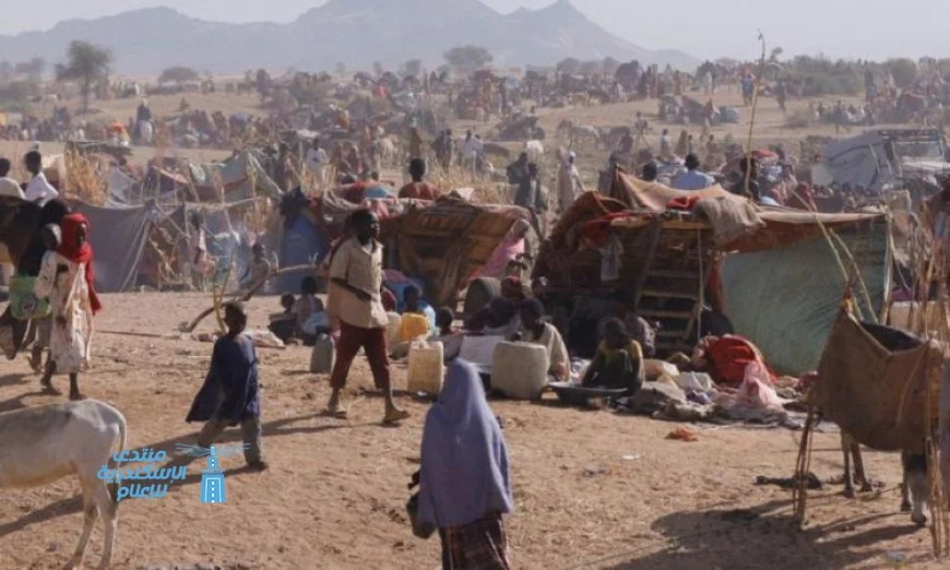 الأمم المتحدة تطالب بضرورة وقف إطلاق النار في الفاشر السودانية للحفاظ على السلم والأمن