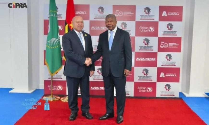 مشروعات الربط في إفريقيا مفتاح تحقيق التكامل القاري حسب تصريحات الوزير