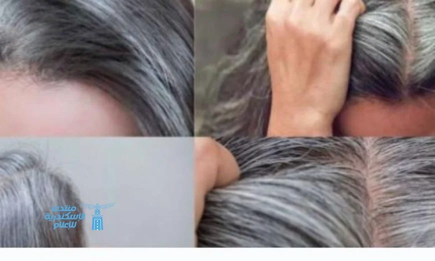 استعدي لشعرك الصحى مع 3 وصفات طبيعية لإستعادة لونه وحيويته