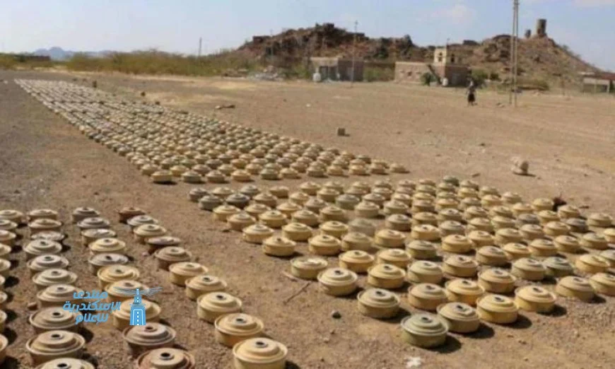 مركز الملك سلمان للإغاثة ينجح في نزع 805 ألغام من الأراضي اليمنية خلال أسبوع ضمن مشروع مسام