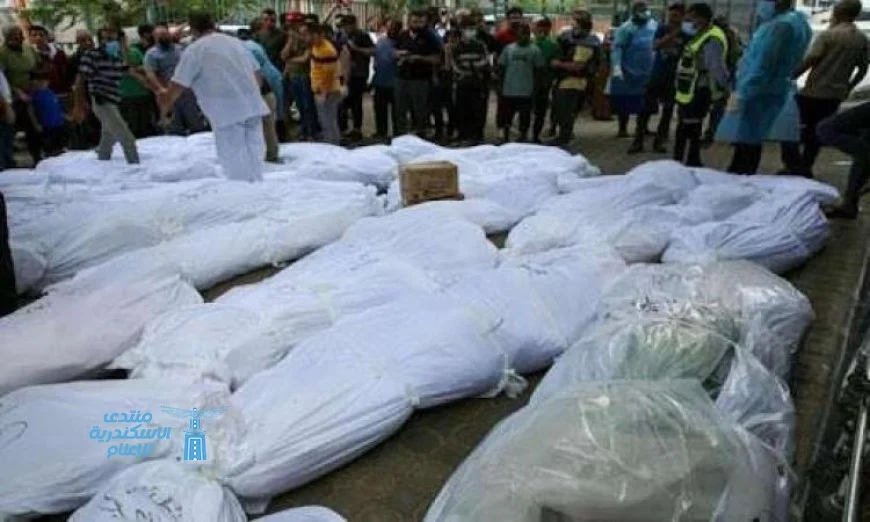 ارتفاع عدد شهداء مجازر العدوان الإسرائيلي على غزة إلى 100 شهيد منذ مساء الأمس