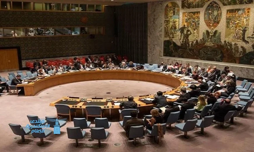 مجلس الأمن يدين مليشيا الدعم السريع ويؤكد رفضه لقيام حكومة موازية في السودان