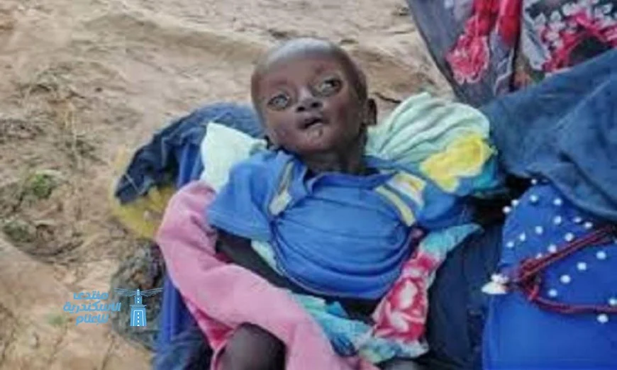 أطفال الفاشر في السودان يواجهون عنفًا غير مسبوق وفقًا لممثل اليونيسف